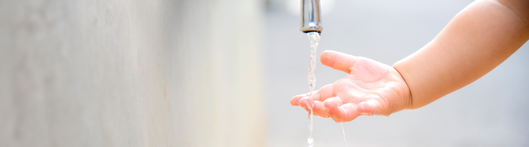 写真ギャラリー